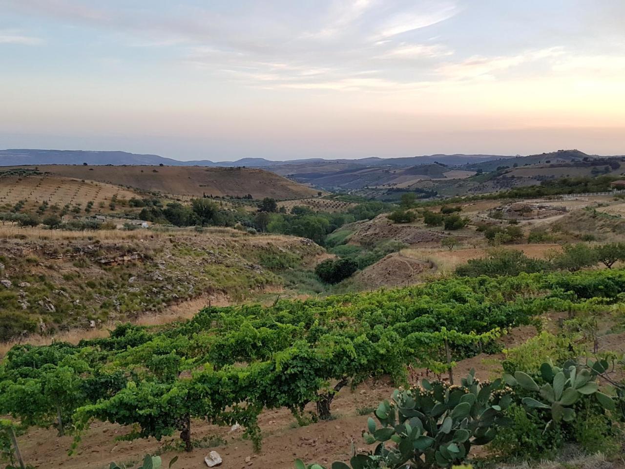 Agriturismo Il Drago Mirabella Imbaccari エクステリア 写真